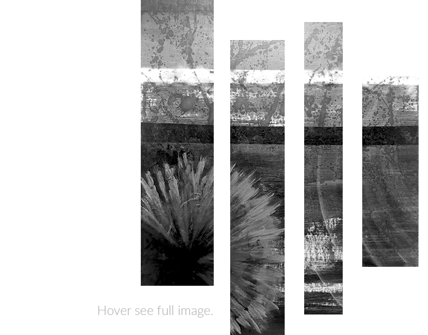 i_am_covered_dividida_derecha_grices